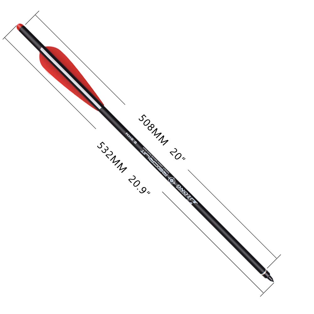 12 Frecce Per Balestra In Carbonio - 20" Con Punte 100 Grani, Per Caccia E Tiro - Foto 4