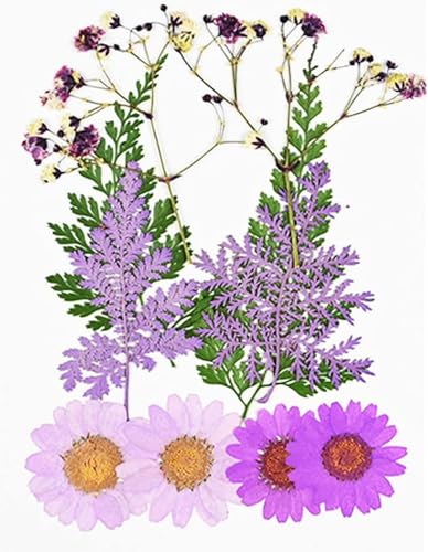 Flores Secas Pequeñas para Decoración Manualidades miniatura 4