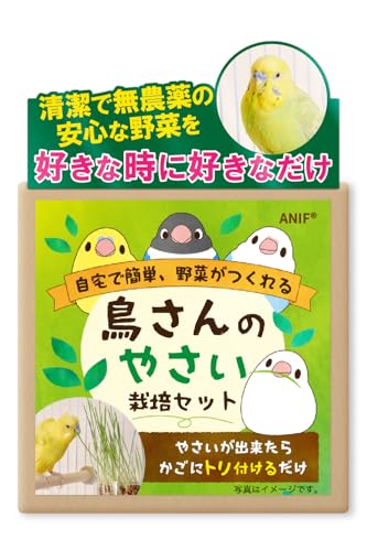 ANIF 鳥さんのやさい 栽培セット 3回分 現役農家さん監修 取扱説明書付き インコ 文鳥 えさ おやつ