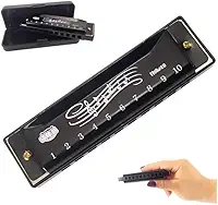 Gaita preta de 10 furos com estojo de órgão instrumento musical para iniciantes a tocar gaita como presente