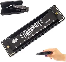 Gaita preta de 10 furos com estojo de órgão instrumento musical para iniciantes a tocar gaita como presente