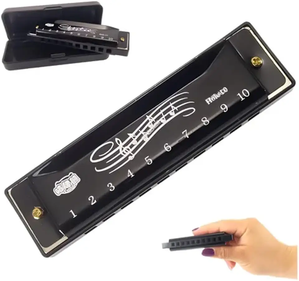 Gaita preta de 10 furos com estojo de órgão instrumento musical para iniciantes a tocar gaita como presente