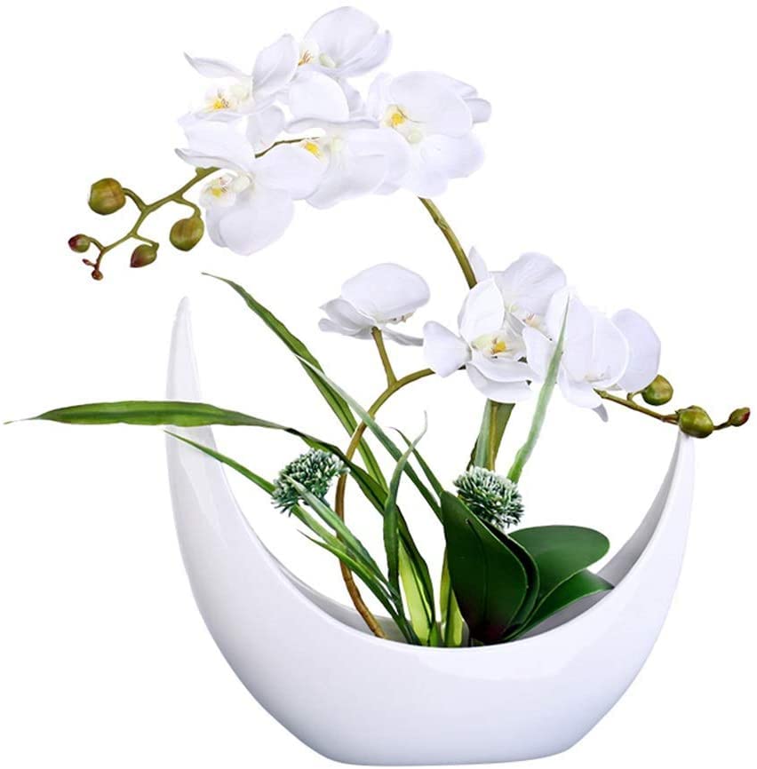 Bouquet de fleurs artificielles phalaenopsis blanc et vase céramique pour salon