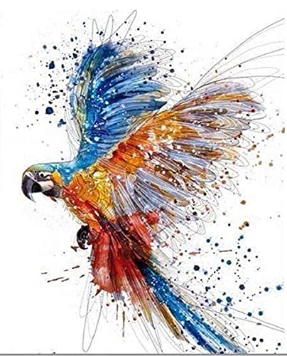 Figured'Art Peinture par Numéros Cover