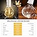 25Ft LED Outdoor String Lights, G40 Globe Patio String Lights Waterproof with 27 Shatterproof Bulbs, Hanging Outdoor Christmas Decorations Lights for Backyard Garden Bistro Wedding Party Decor, White