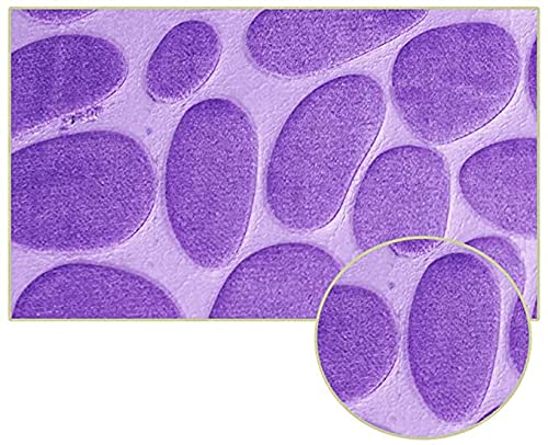 TOPCHANCES 2 Stück rutschfeste Ständer Badematten Set atmungsaktivem Memory-Schaum Bad-Teppiche angenehm weiches Wasser… – Bild 7