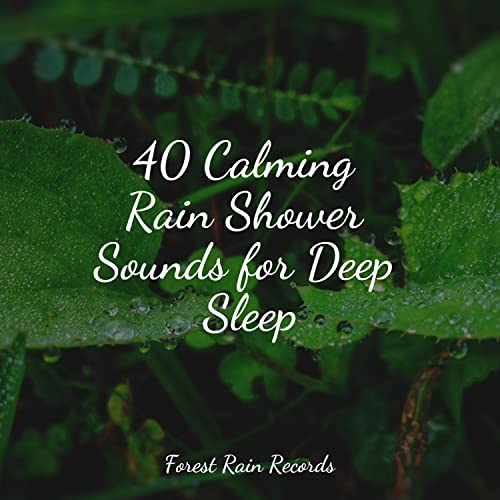 Amazon MusicでAsmr Sleep Sounds, It's Raining & Pacific Rim Nature ...