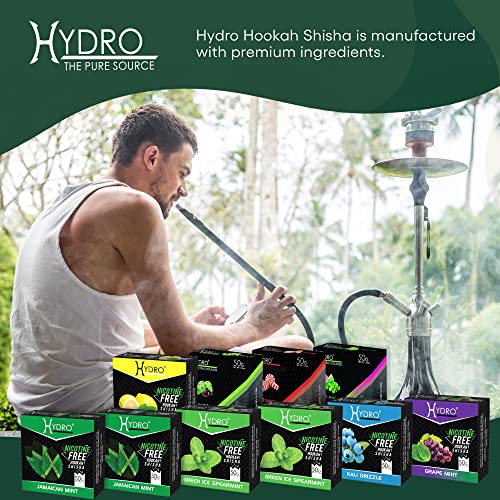 Hydro Hookah Flavors, Fruit Mix Hookah Shisha In Jamaican Mint, Blueberry Mint, Chocolate Mint, Grape Mint, Lemon Mint, Watermelon Mint, Peppermint, Mint Lovers Mix Set, 50-Gram Packs (Pack Of 10) #TOP2