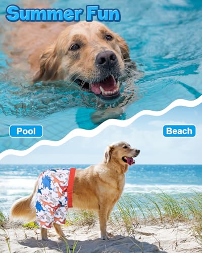 Image of CuteBone Dog Swim Trunks Swimsuit Durable & Comfortable - Quick-Dry, Adjustable Waistband Shorts, UV Protection Bikini- Perfect for Beach, Pool & Outdoor Fun, Dinos DST08L