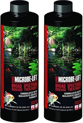 A closer look at Fish Disease Treatment Systems For Goldfish