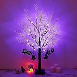 Beterzack 2FT Black Halloween Tree, Spooky Tree with 20 Spider & 24 Purple Lights and 6 Bat Decorations Battery Powered Tabletop Bonsai Tree Decoration for Halloween and Indoor