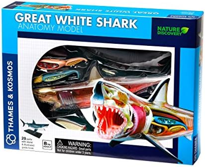 Thames & Kosmos – Nature Discovery: Great White Shark Model – 3D Anatomy Kit – 20 Parts with Stand and Guide Book – Educational Science Kit – Fun for Kids, Ages 8+ – 261110