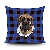 Scena applicabile: Queste coperture del cuscino del tiro del gatto della fattoria aggiungono un tocco di divertimento e di calore al vostro divano, automobile, sedia, panchina, sedile di yoga, camera da letto, letto, ufficio, sala da pranzo, soggiorno, portico, corridoio, esterno, interno e decorazione della casa