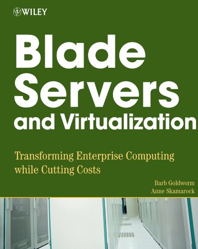 Blade Servers and Virtualization: Transforming Enterprise Computing While Cutting Costs (English Edition)