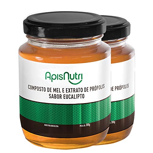 Kit 2 Composto de Mel sabor Eucalipto Apisnutri 300g