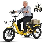 Tricycle électrique Pliable pour Adulte, 48 ​​v 13 Ah, Pneu Large 18