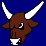 Rodeo Judge LLC