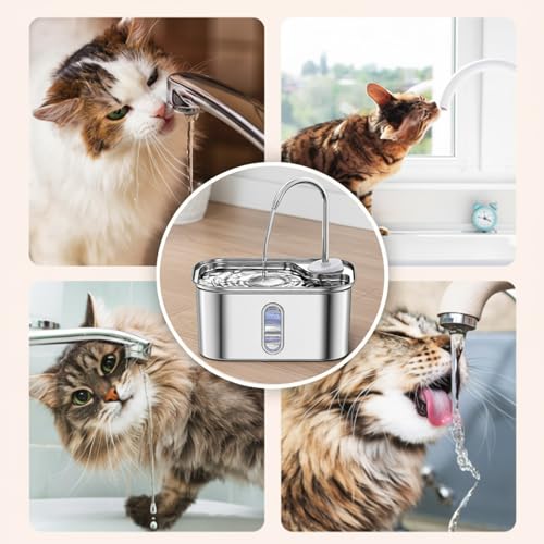 Fuente para agua para gatos acero inoxidable 2.6L miniatura 6