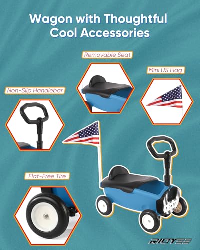 Carrito de arrastre   RIDYEE RDG01-AZUL         ideal para paseos y juegos en casa 4