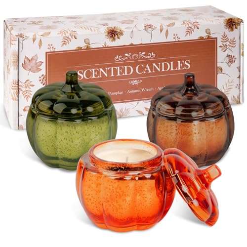 Lanpn Fall Scented Candles Gift Set 3 Pack 16.5oz Pumpkin Glass Jar Candle Thanksgiving Aromatherapy Soy Wax Candles for Woman Man Autumn Fragrance Table Farmhouse Decoration Tabletop Centerpiece