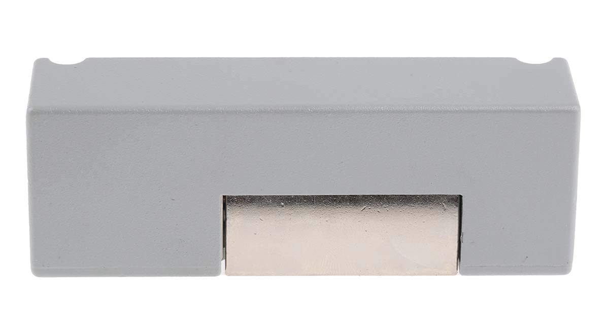 RS PRO Elektrischer Türöffner Elektrisch mit Ausfallsicherung, 12V dc, 28 mm x 25mm
