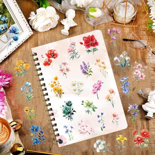 Image of Transparent Flora Scrapbook Stickers Aesthetic Flowers Stickers(C50) | Transparent & Waterproof Sticker for Scrapbook Journal Water Bottle Kindle, DIY Crafts, Party Supplies