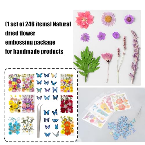 205 piezas de flores secas prensadas para artesanía miniatura 5