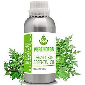 Pure Herbs Bijvoet (Artmisia vulgaris)Pure & natuurlijke therapeutische kwaliteit etherische olie 500ml