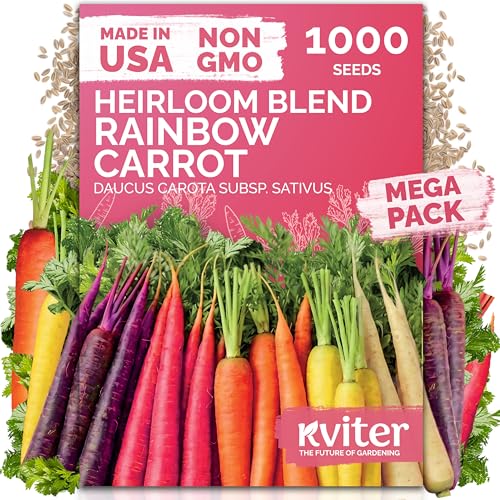 KVITER 1 000 Rainbow Carrot Seeds (Daucus Carota) - Baby Carrots Mix Sweet & Tender Taste - Heirloom & Carrots Seeds for Planting in Vegetable Garden Raised Beds & Containers