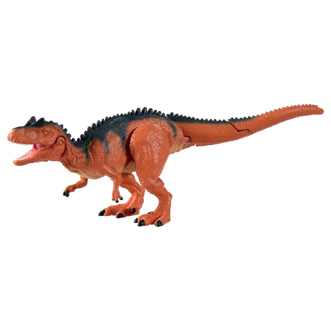Amazon | タカラトミー(TAKARA TOMY) アニア AL-19 アロサウルス