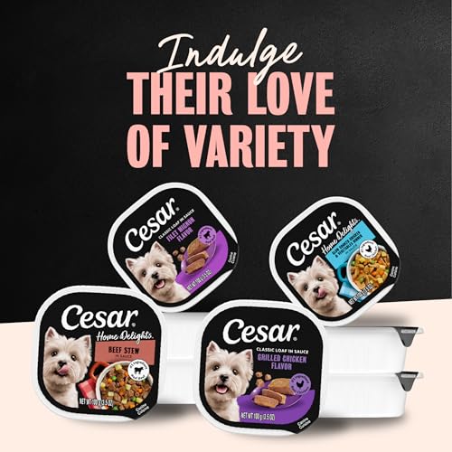 Cesar Home Delights & Loaf Wet Dog Food, Variety Lovers, 3.5 oz, 36 Count - image 6
