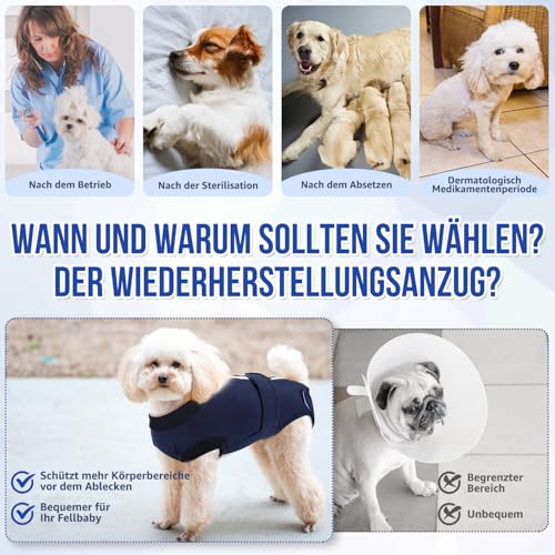Eyein Hundebody Nach Op, Wundschutzanzüge für hündin Rüde mit Reißverschluss und Klettverschluss Gürtel - Anti-Lecken und Wundschutz, Atmungsaktiv Einteiler für Hunde Nach Op (Dunkelblau, XXL)