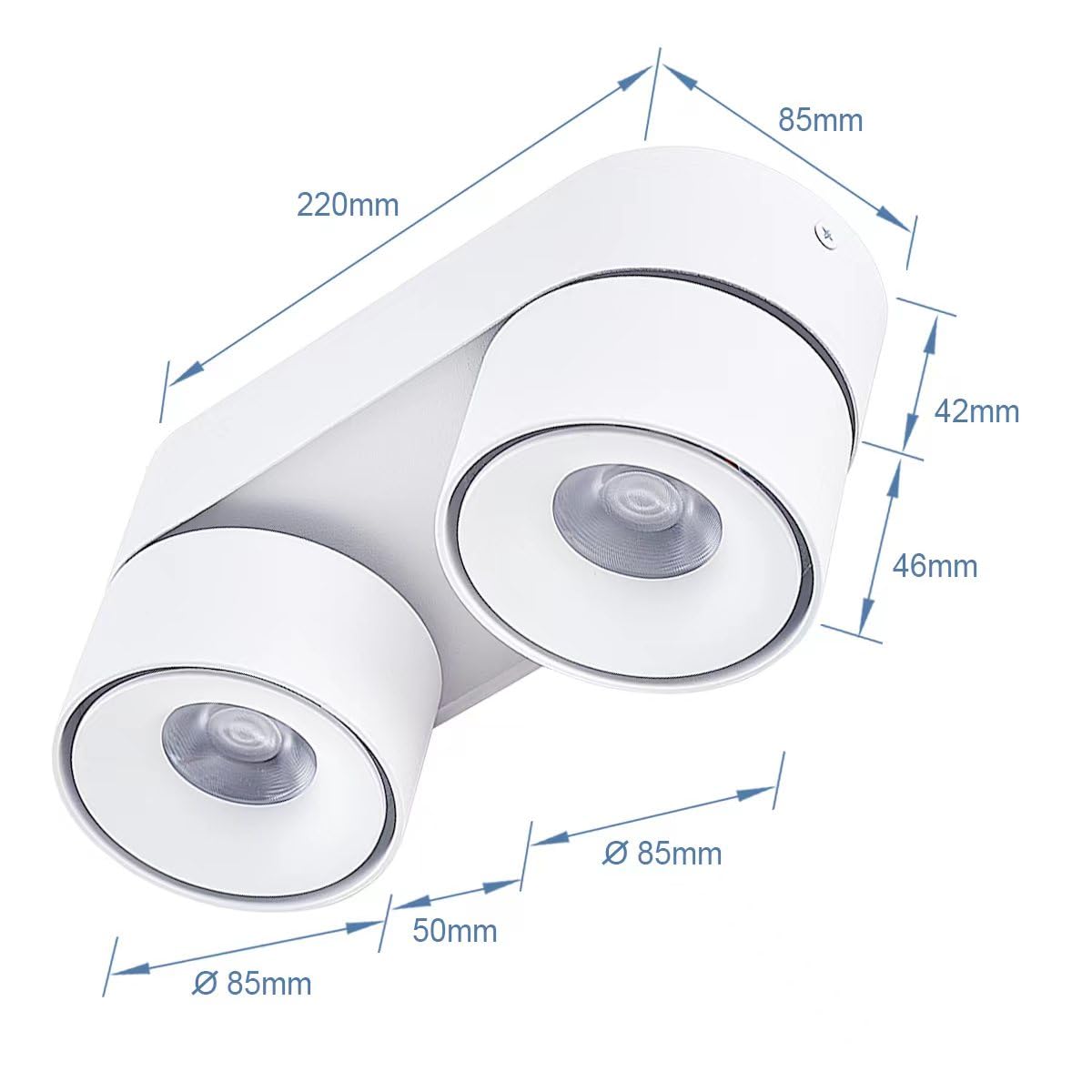Budbuddy 2x12W Lámpara de Techo LED Con 2 Focos Orientables Focos Para Techo Moderno Plafón con Focos Regulable Superficie Luz de Techo Blanca Para Interior Pasillo Salón Tiendas etc,3000K