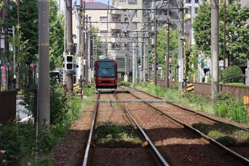 �y���{�̕��i�|�X�g�J�[�h�z2���̓�����ʋ�8900�`�d�� �s�c�r����i������g�����j�|�X�g�J�[�h�Q�͂��� photo by MIRO