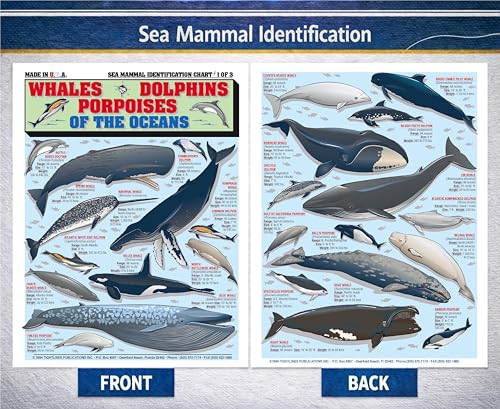 Image of Sea Mammal Identification Set (Whales, Dolphins, Porpoises, Seals, Sea Lions, Manatees) - Waterproof Quick Reference Guide | Portable & Built to Last | Double-Sided & Easy to Read | Portable Reference Cards, (Whales, Dolphins, Sea Lions, Seals, Manatees), Double-Sided, Perfect Boating Gift for Beginners