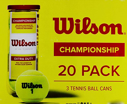 Balles de tennis Wilson Championship Extra Duty carton de 60 balles pour terrain dur