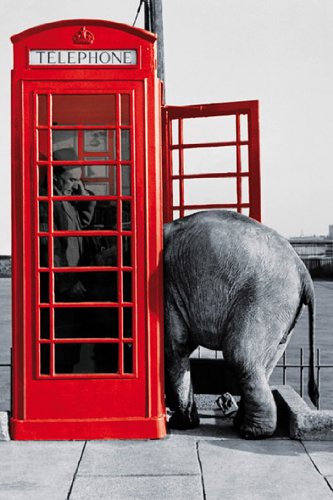 Laminated Posters I idem pour vous éléphant rouge Londres Cabine téléphonique Poster mesures...