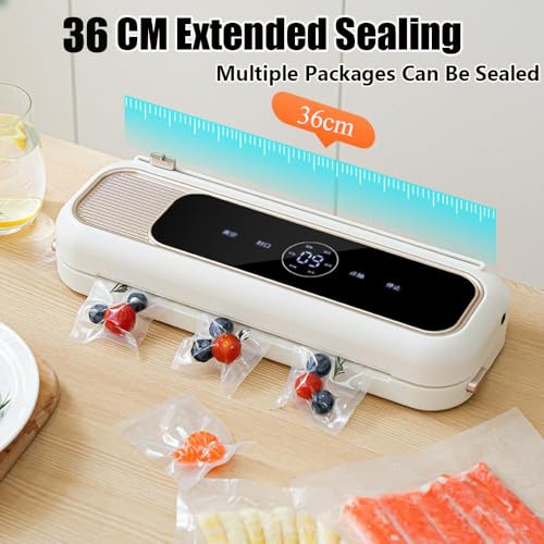 Machine de mise sous vide pour aliments 65 Kpa et joint de 30 cm avec 6 modes