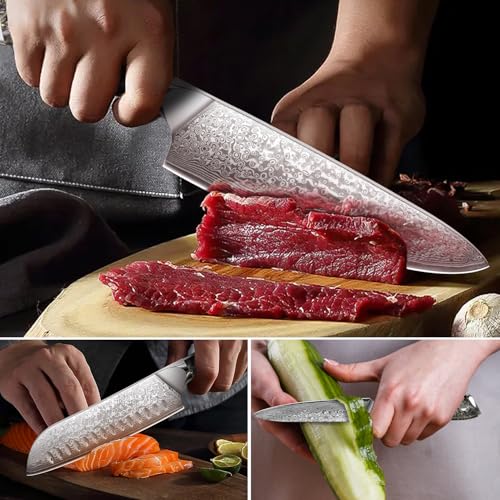 Home Safety Set di Coltelli da Cucina, 3 Pezzi, 67 Strati Acciaio Damasco, Coltello Chef, Santoku, Frutta, 12,4-20 cm, Professionale, Ergonomico - immagine 4