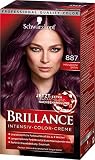 SCHWARZKOPF BRILLANCE Intensiv-Color-Creme 887 Mahagoni Satin Stufe 3, mit extra Diamant-Glanz-Nachbehandlung, 3er Pack (3 x 143 ml)