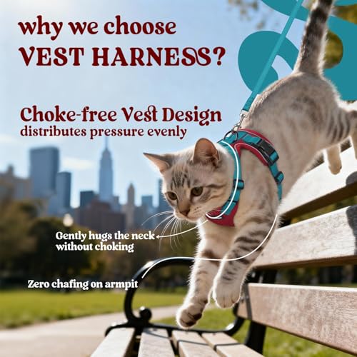 Image of rabbitgoo Cat Harness and Leash Set, Escape Proof Vest, Red & Teal