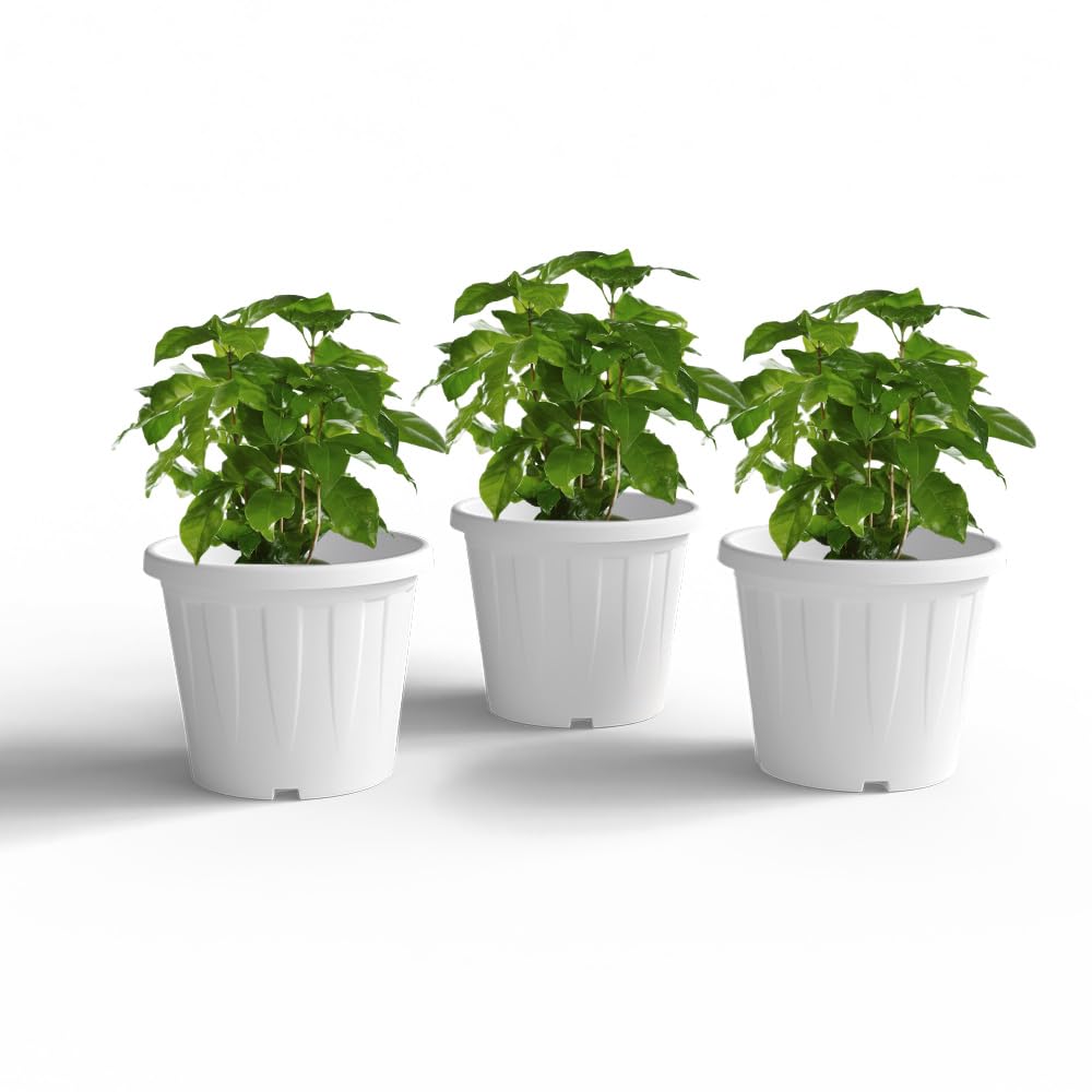 YUCCABE ITALIA 6 Pack White Nursery Planters -9