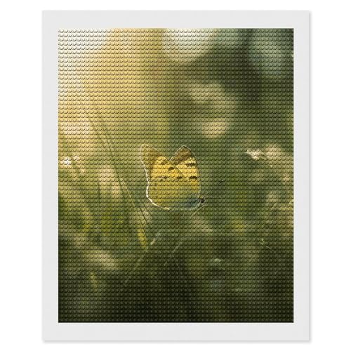 Kit peinture diamant 5D papillon idée cadeau adultes et débutants