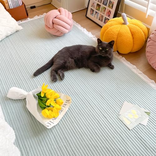 O}bg J[ybg _炩 O  k 􂦂 rO[ 􉽊w  ~ Z^[J[ybg イ zbgJ[ybgΉ RۖhL ܂ ` ϖՐ h ėp h_j I[V[YKp U-03 110