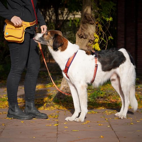 Anny-X Brustgeschirr Fun | Limited Edition Pflaume trifft Zimt | Hundegeschirr Größe S (Brustumfang 52-64 cm)