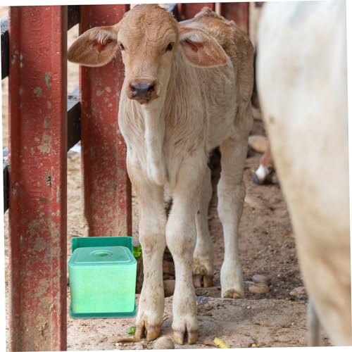 Boîte à sel pour moutons au pâturage auge plastique élevage
