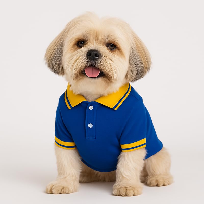 Image of Thunder Tails Premium Cotton Polo Dog T-Shirt | for Medium Dogs | Royal-Yellow | 2XL | for Cocker Spaniel, Hound, Beagle & Corgi