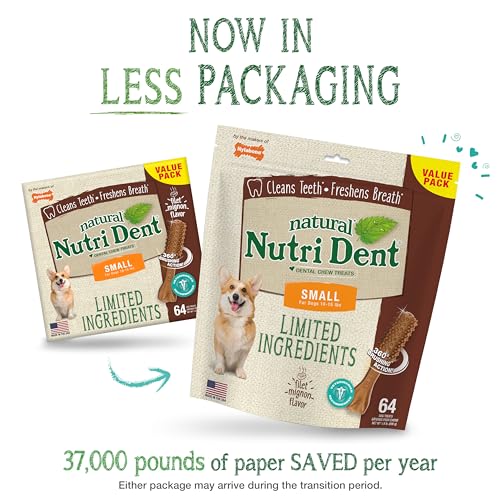 Image of Nylabone Nutri Dent Dog Dental Chews - Natural Dog Teeth Cleaning & Breath Freshener - Dental Treats for Dogs - Filet Mignon Flavor, Small (64 Count) | Natural dental chews for dogs, helps clean teeth & freshen breath, made in USA, vet recommended, for dogs 10-15 lbs