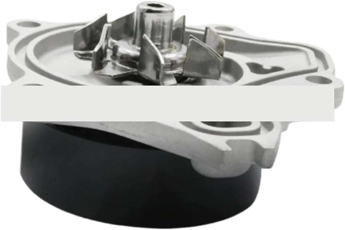 Generic Water Pump, impeller side view