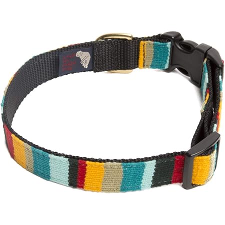 A tail we could wag dog collars Clearance